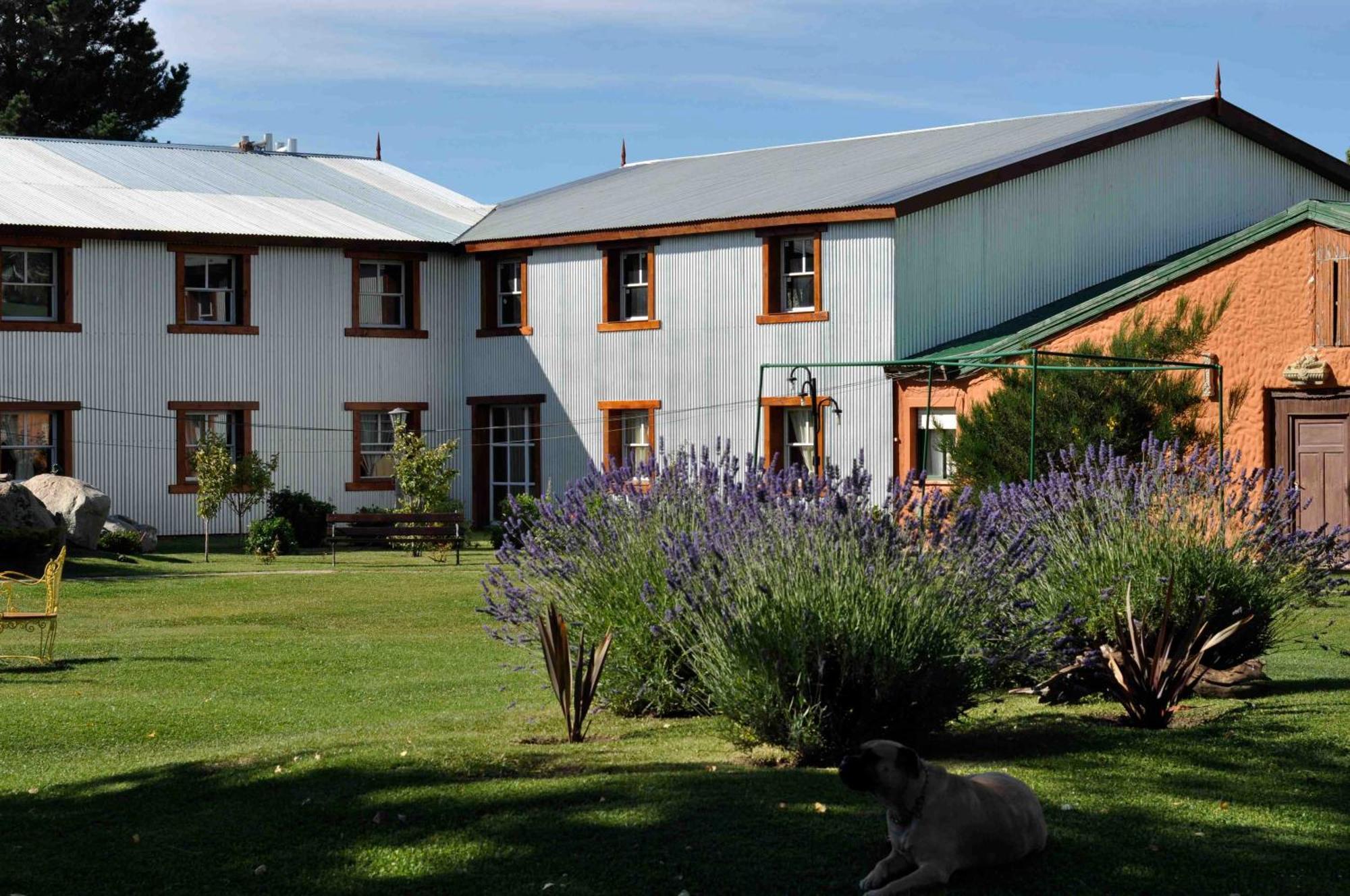 "La Loma" - Vieja Casona Lejlighedshotel El Calafate Eksteriør billede